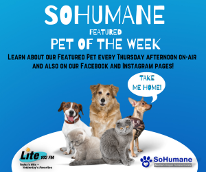 SoHumane Pet Of The Week